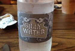 Gilly-water