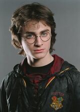Harry Potter Toverschooltoernooi
