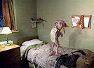 Dobby on Harry's bed