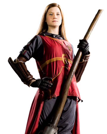 Quidditch Uniform Harry Potter Wiki Fandom