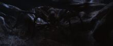 79709753aragog