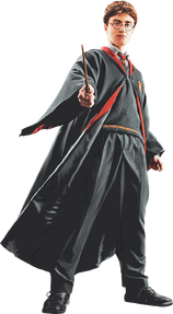 Harry in Robe with Wand Front View (Painting) - Harry Potter and the Half-Blood Prince™