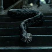 Python | Harry Potter Wiki | FANDOM powered by Wikia