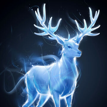 Patronus Charm Harry Potter Wiki Fandom