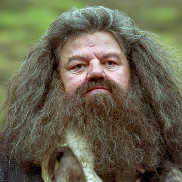Rubeus Hagrid Harry Potter Wiki Fandom