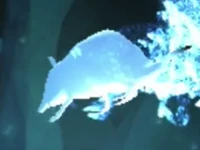 Shrew Patronus