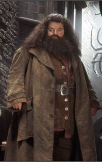 Hagrid dmbeldore