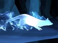 Mink Patronus