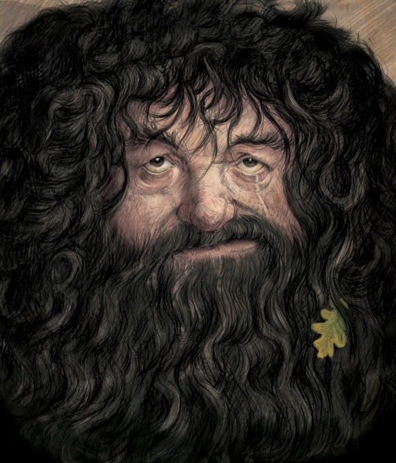 rubeus hagrid in harry potter