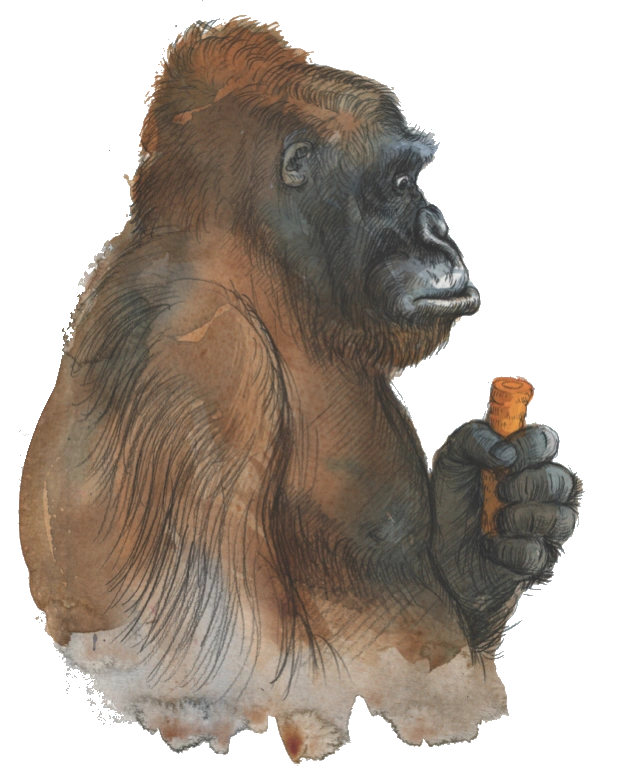 Zoo Harry Potter Books Wikia Fandom