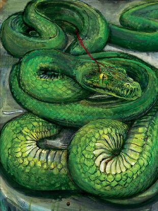 Basilisk | Harry Potter Books Wikia | Fandom