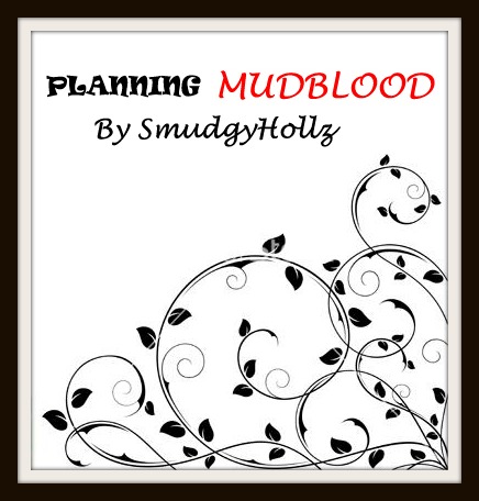Mudblood planning 2