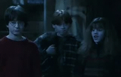 Maldición de petrificación Wiki Harry Potter Fannon Fandom Maldición de petrificación Wiki Harry Potter Fannon Fandom