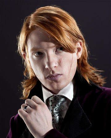 Bill Weasley Wolf Among Us Harry Potter Fanon Wiki Fandom
