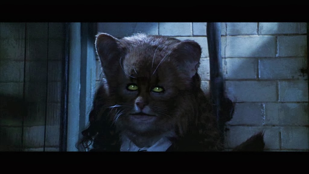 Image Hermionecat (1).jpg Harry Potter Fanon Wiki FANDOM powered by Wikia