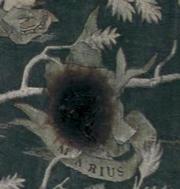 180px-Marius Black