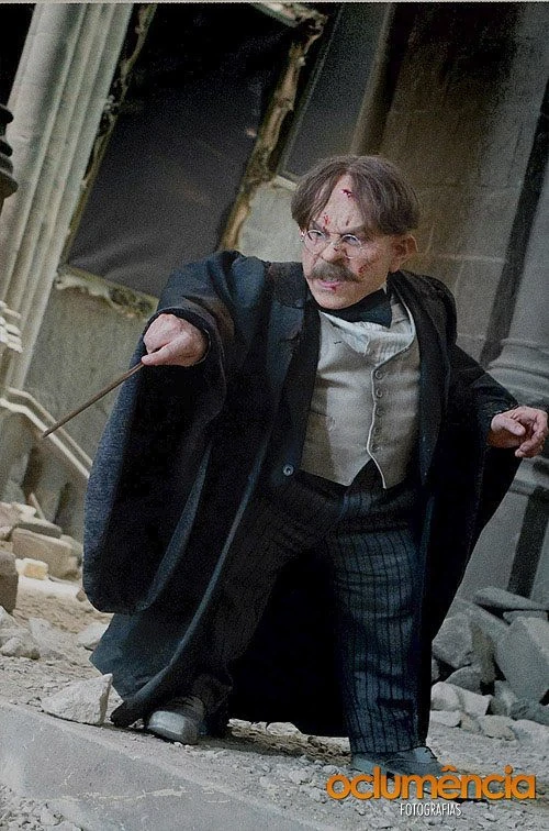 Image Filius Flitwick battle.jpg ויקיפוטר FANDOM powered by Wikia