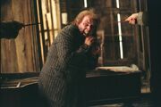 Wormtail-1-