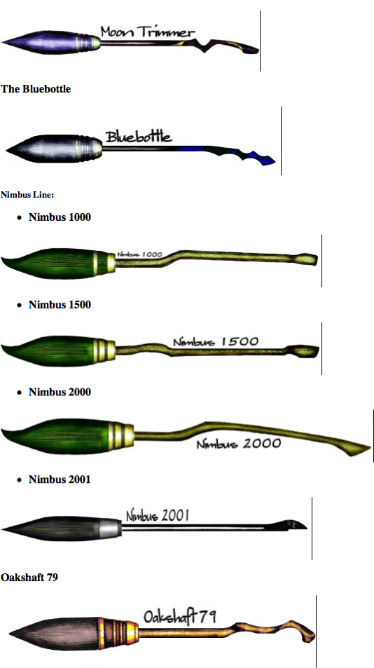 Image Brooms 1.png Harry Potter (Next Gen) Roleplay Wiki FANDOM