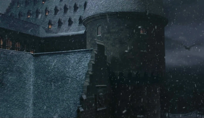 Gryffindor Tower | Harry Potter Films Wiki | Fandom