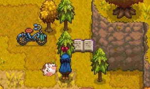 Book Quest Item Location