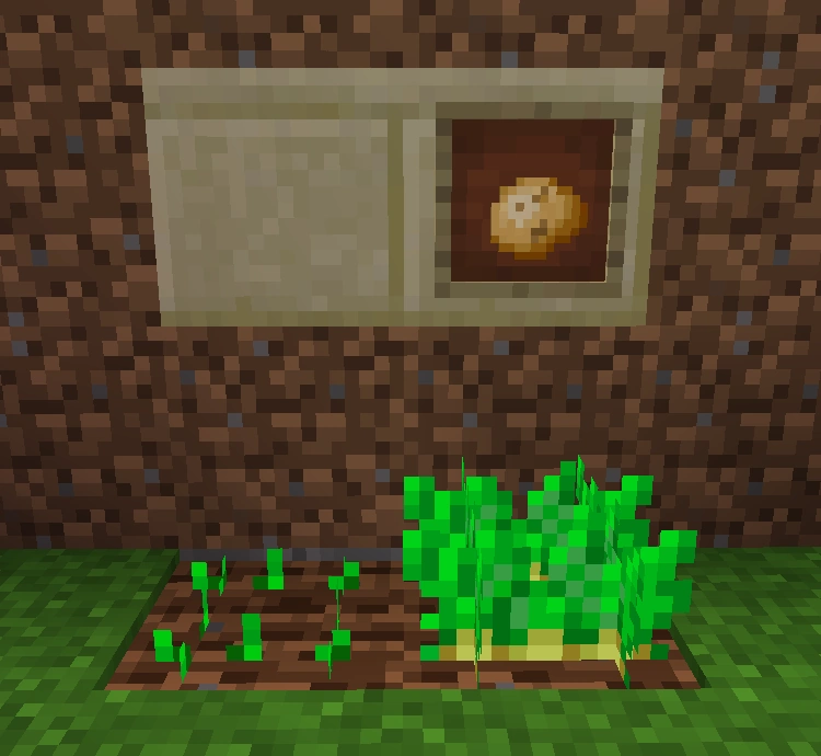 Potato HarvestCraft Wiki Fandom