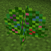 BerryGarden-0