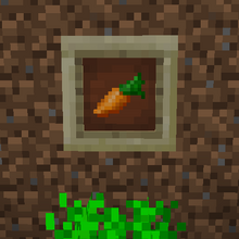 Carrot Harvestcraft Wiki Fandom