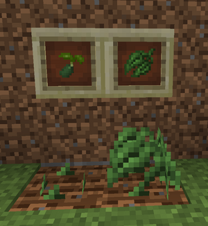 Spice Leaf