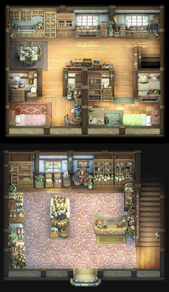 Sincerity General Store Rune Factory Wiki Fandom