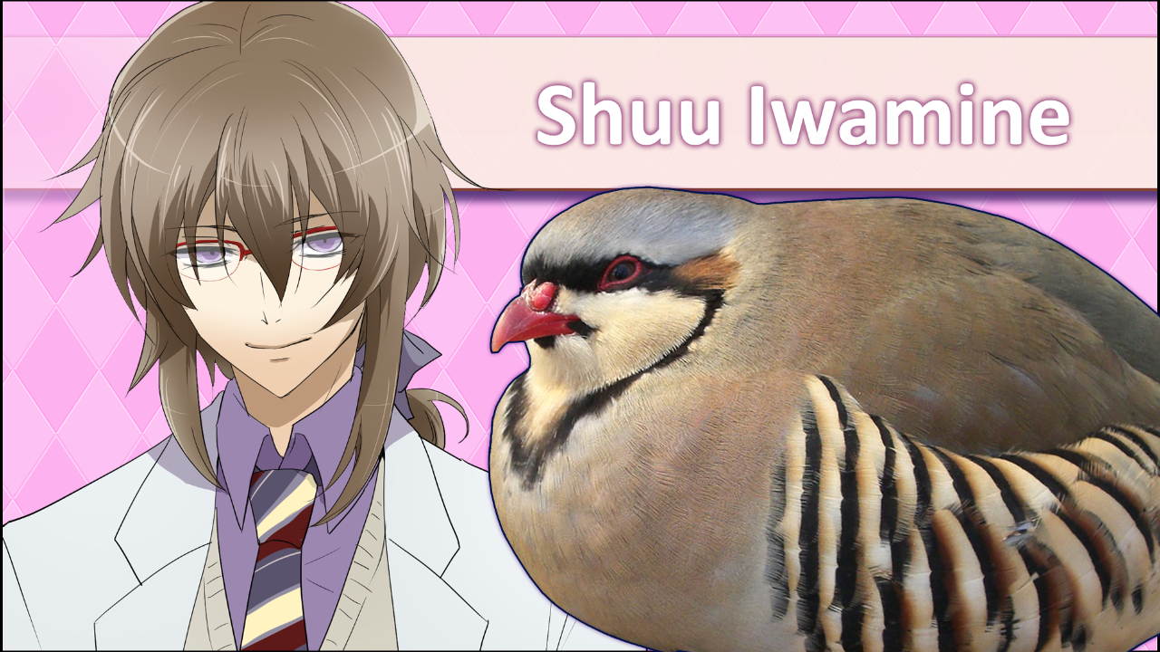 Shuu Iwamine