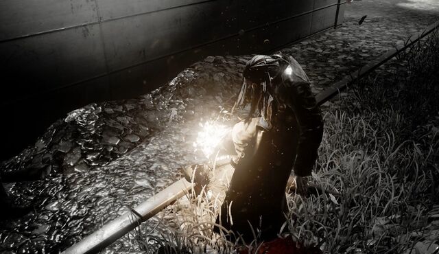 File:Bandicam 2017-06-07 23-01-53-427.jpg