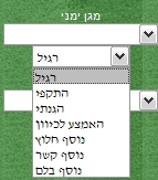 מגן
