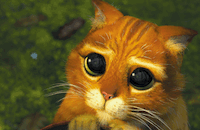 PussInBoots