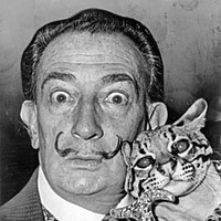 Https Encrypted Tbn0 Gstatic Com Images Q Tbn 3aand9gcsjhaeaigwxv2illwjctoum7b Xz7wduxvhpxvvh Golrpsamlc Usqp Cau