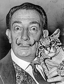 220px-Salvador Dali NYWTS