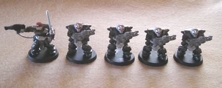 Scutari troops