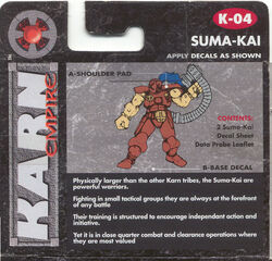 Karn Suma Kai Back