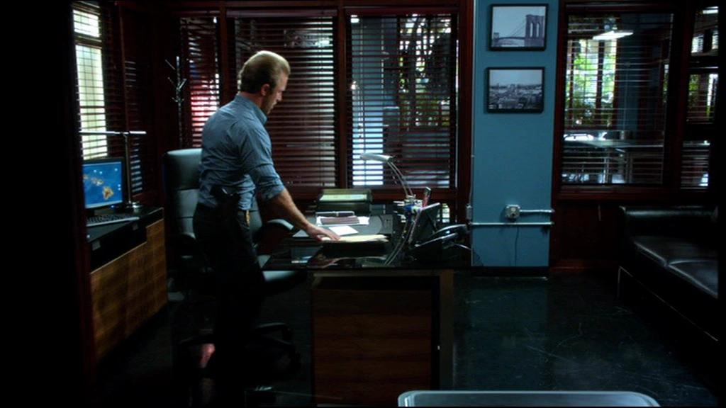 Image Vlcsnap2013061913h36m22s138.png Hawaii FiveO Wiki