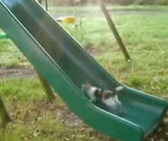 Новичкам