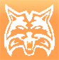 NekoLogo