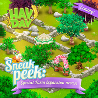 2 sneak deco expansions spring17