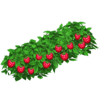 Image - Raspberry Bush.png | Hay Day Wiki | FANDOM powered by Wikia