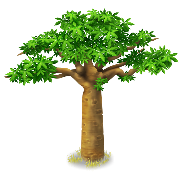 Image - Baobab Tree.png | Hay Day Wiki | FANDOM powered by Wikia