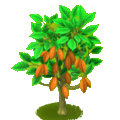 Hay day seilerei Hay day seilerei