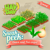 3 sneak new crops 2016