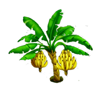 Decoration Banana Tree Png - Things Decor Ideas