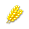 Grano