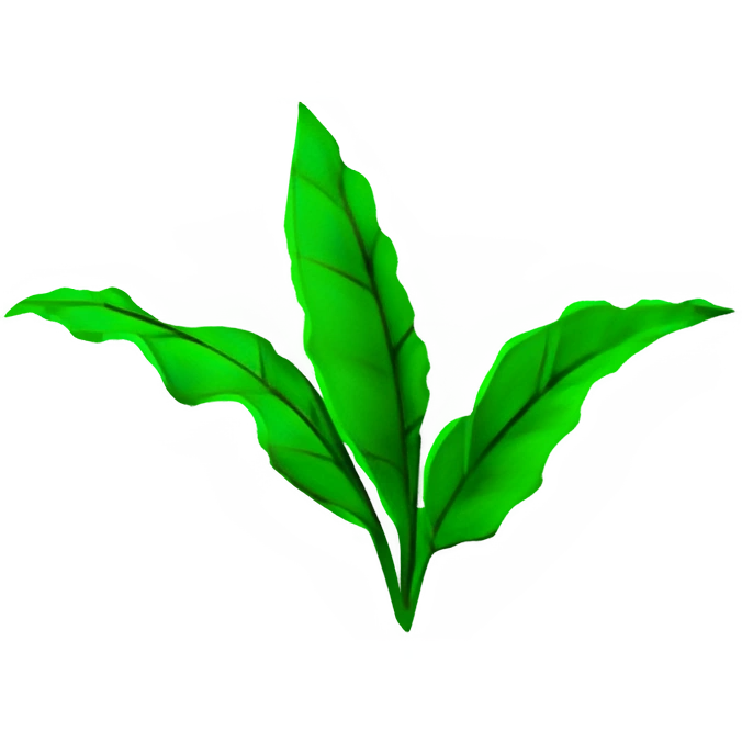 Tea Leaf Hay Day Wiki FANDOM powered by Wikia