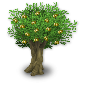 Olivo